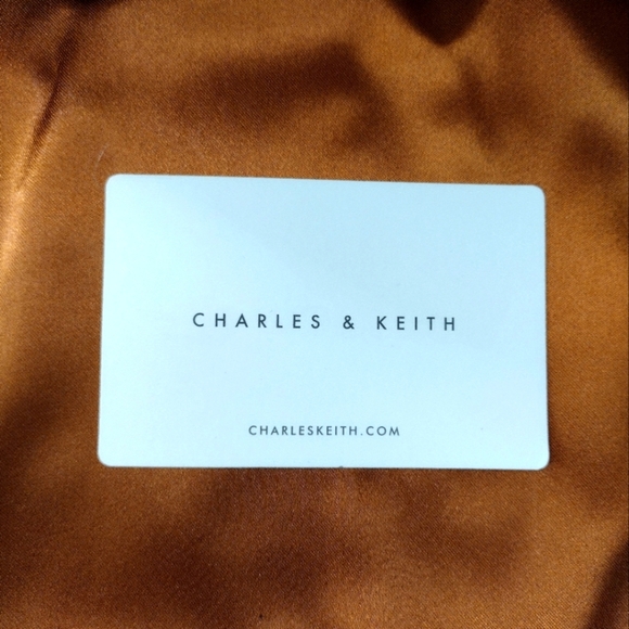 Charles & Keith Scarf Wrapped Handle Handbag - Picture 9 of 12